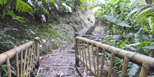 Jardín Botánico Marsella  